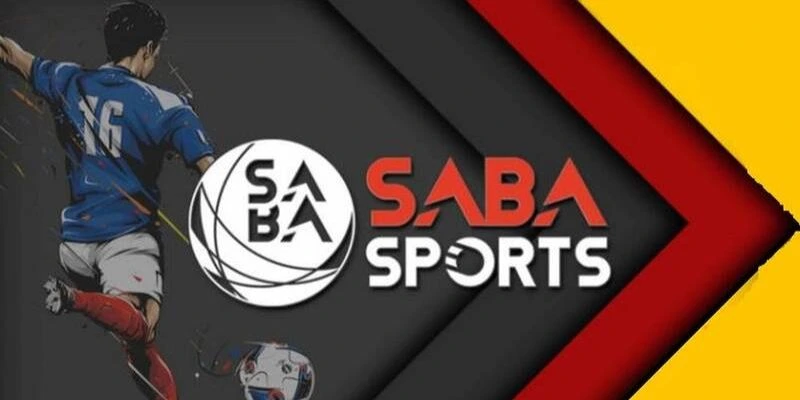 Các sản phẩm thể thao tại Saba Sports nổi tiếng