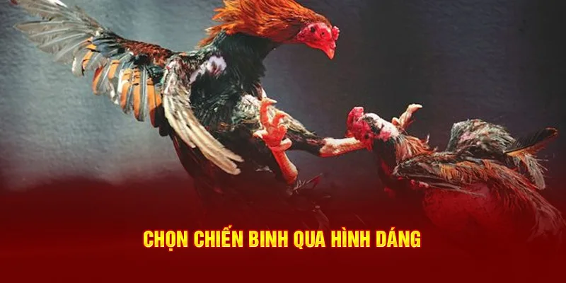 Chọn chiến binh qua hình dáng