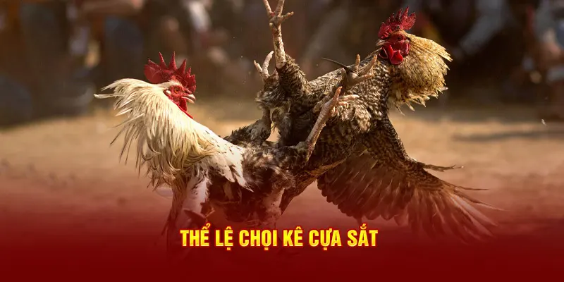 Thể lệ chọi kê cựa sắt