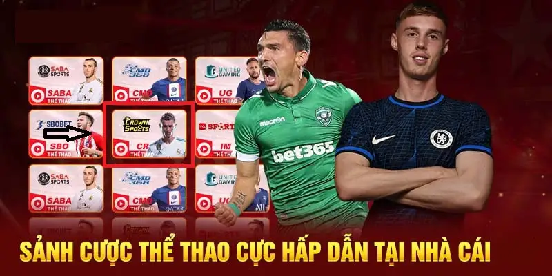 Những đơn vị phát hành game cược thể thao uy tín trong cộng đồng