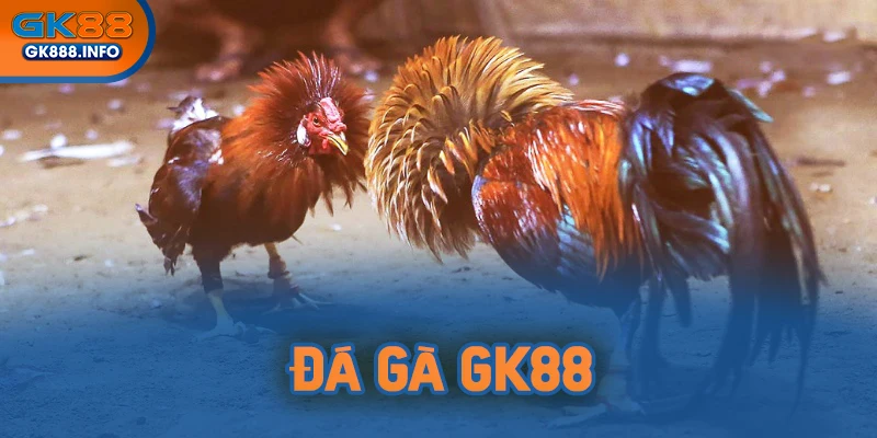 Đá gà GK88 mang đến những phút giây hồi hộp